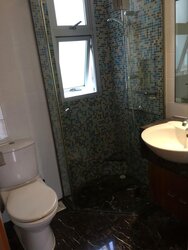 The Levelz (D10), Condominium #456931501